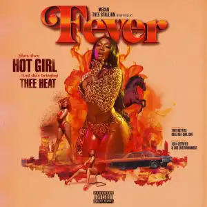 Megan Thee Stallion - Sex Talk